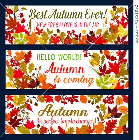 Autumn season welcoming banner with fallen leaf 41851092