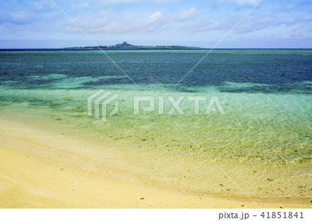 備瀬の海岸 備瀬の海岸 41851841