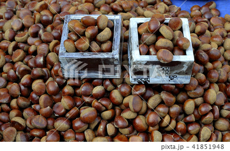 実 栗 夜 41851948