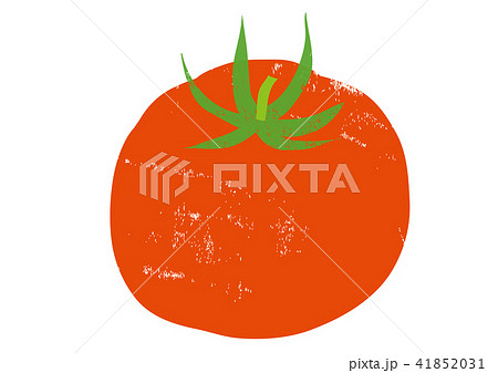 トマト　水彩画 41852031