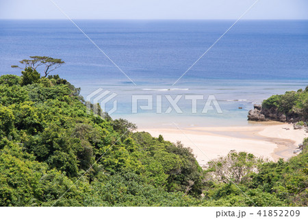 クリスタルビーチ１ 41852209