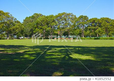 公園の多目的運動広場 公園の多目的運動広場 41852552