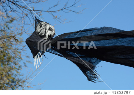 Black Halloween skeleton ghoul flying in the wind Black Halloween skeleton ghoul flying in the wind 41852797