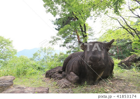 臥牛石像 41853174