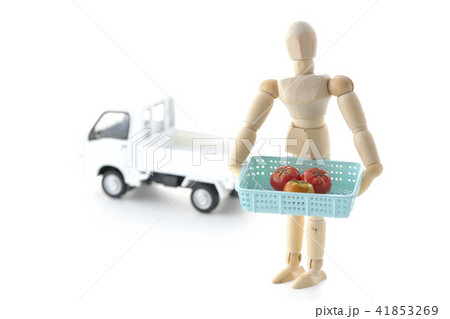 生産者　出荷　農家　トマト 41853269