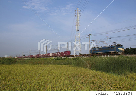 武蔵野線を行く貨物列車(EF66形0番台牽引) 武蔵野線を行く貨物列車(EF66形0番台牽引) 41853303