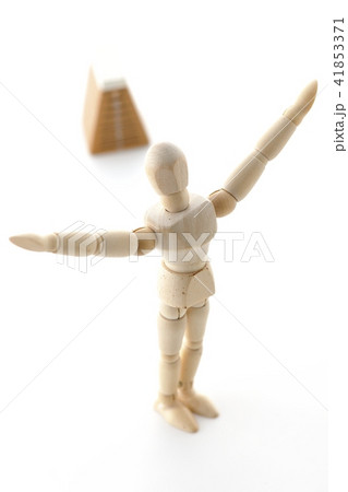 体育 体操 運動 スポーツの秋 体育 体操 運動 スポーツの秋 41853371