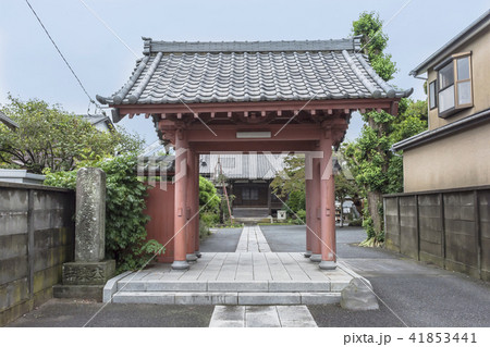 本興寺（鎌倉市大町） 41853441