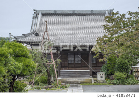 本興寺（鎌倉市大町） 41853471