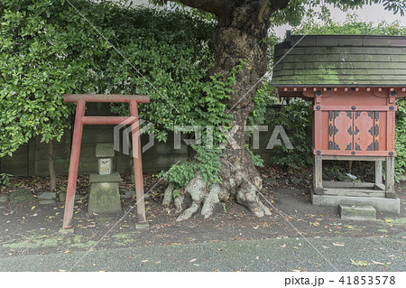 本興寺の社と祠（鎌倉市大町） 41853578