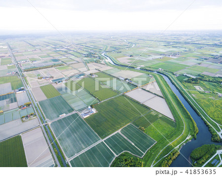 農業地帯(空撮) 農業地帯(空撮) 41853635