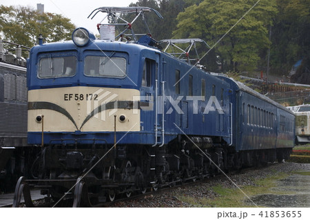 碓氷峠鉄道文化むら(EF58-172号機) 碓氷峠鉄道文化むら(EF58-172号機) 41853655