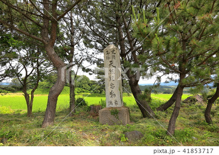 九十九島　史跡名勝天然記念物象潟の碑 41853717