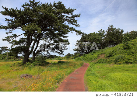 九十九島 島めぐりコース 九十九島 島めぐりコース 41853721