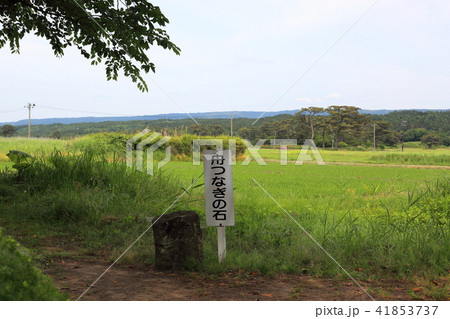 蚶満寺　舟つなぎ石 41853737
