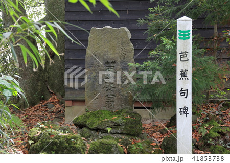 蚶満寺 芭蕉句碑 蚶満寺 芭蕉句碑 41853738