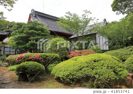 蚶満寺　庭園 41853741