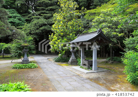 蚶満寺　境内 41853742