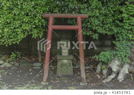 本興寺の祠(鎌倉市大町) 本興寺の祠(鎌倉市大町) 41853761