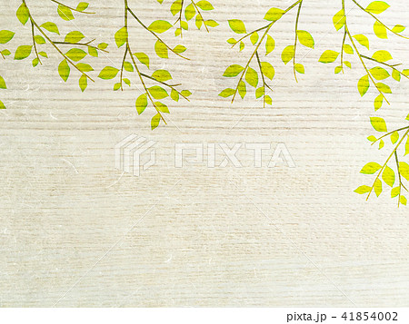 葉 41854002