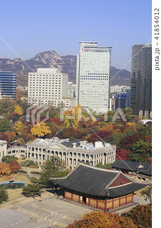 徳寿宮 紅葉 秋 41854012