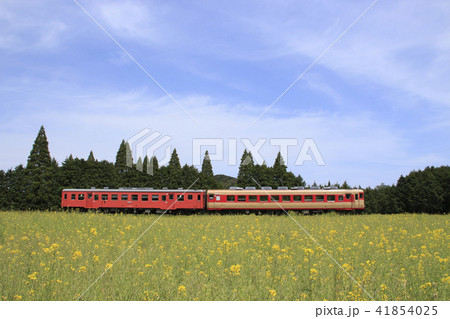 いすみ鉄道キハ52+キハ28 いすみ鉄道キハ52+キハ28 41854025