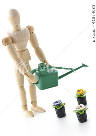 お花に水やり 41854035