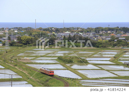 いすみ鉄道キハ52+キハ28（俯瞰） 41854224