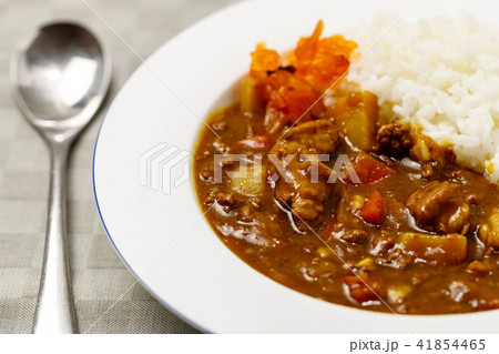 カレーライス 41854465