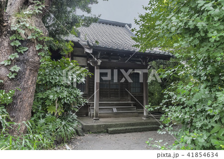 啓運寺(鎌倉市材木座) 啓運寺(鎌倉市材木座) 41854634