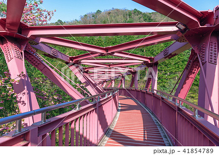 山中温泉あやとり橋 山中温泉あやとり橋 41854789