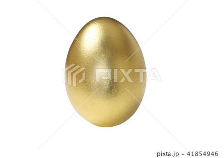 金の卵 金の卵 41854946