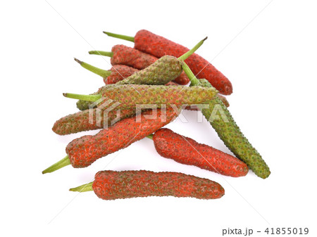 Long Pepper isolated on white background 41855019