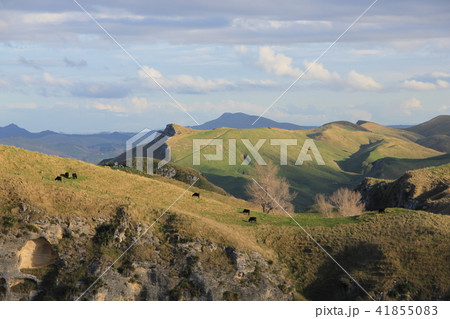 テ・マタ・ピークの景色、ニュージーランド 41855083