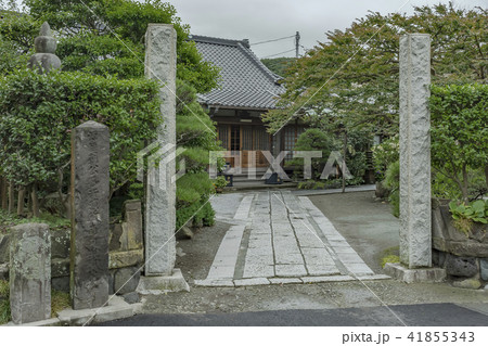 補陀洛寺（鎌倉市材木座） 41855343