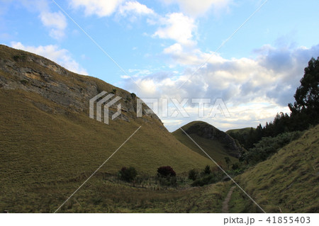 テ・マタ・ピークの景色、ニュージーランド 41855403