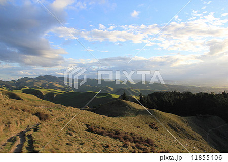 テ・マタ・ピークからの眺め、ニュージーランド 41855406