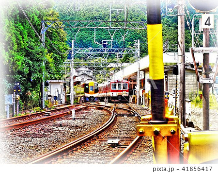 サマーライナー2017-1 サマーライナー2017-1 41856417