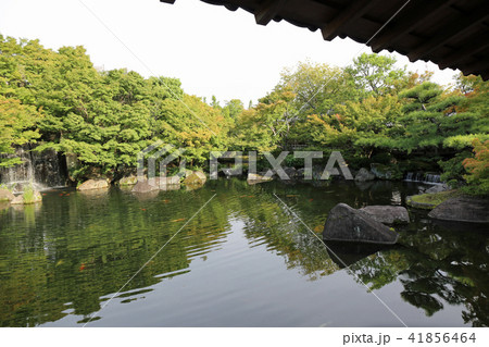 好古園の庭 好古園の庭 41856464