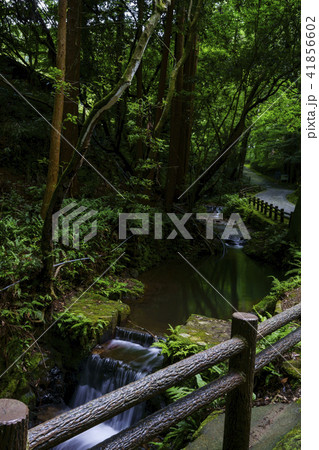 本吉山 清水寺 きよみずでら 本吉山 清水寺 きよみずでら 41856602