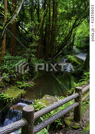 本吉山 清水寺 きよみずでら 本吉山 清水寺 きよみずでら 41856603