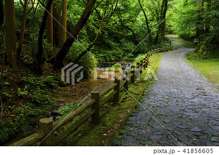 本吉山 清水寺 きよみずでら 本吉山 清水寺 きよみずでら 41856605
