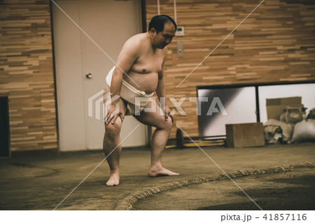 Sumo wrestling 41857116