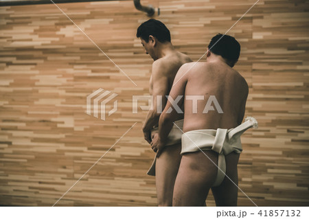 Sumo wrestling Sumo wrestling 41857132