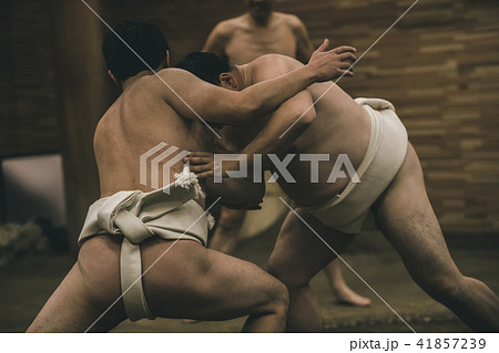 Sumo wrestling 41857239