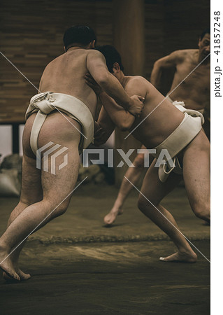 Sumo wrestling 41857248