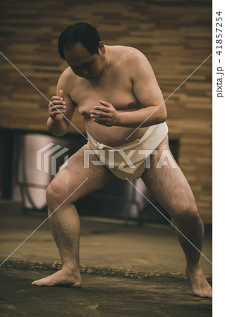 Sumo wrestling 41857254