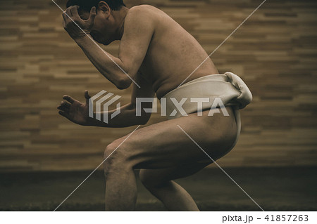 Sumo wrestling Sumo wrestling 41857263