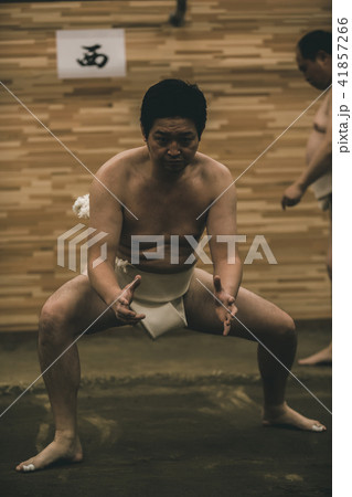 Sumo wrestling 41857266