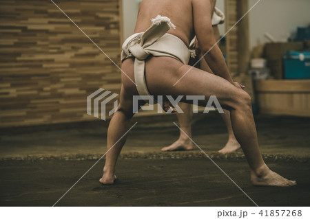 Sumo wrestling Sumo wrestling 41857268